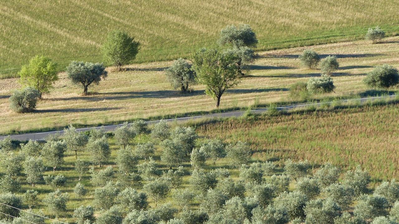 Les Vieux Murs Montfort  Eksteriør bilde